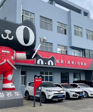 天猫养车